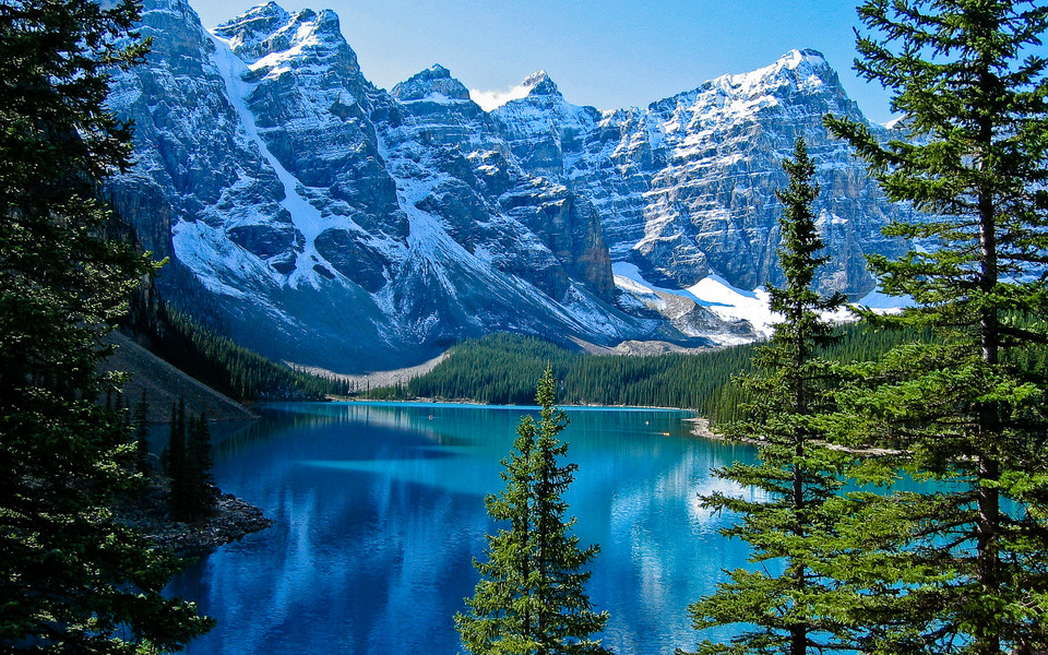 1650283099255363.jpg 加拿大3.jpg