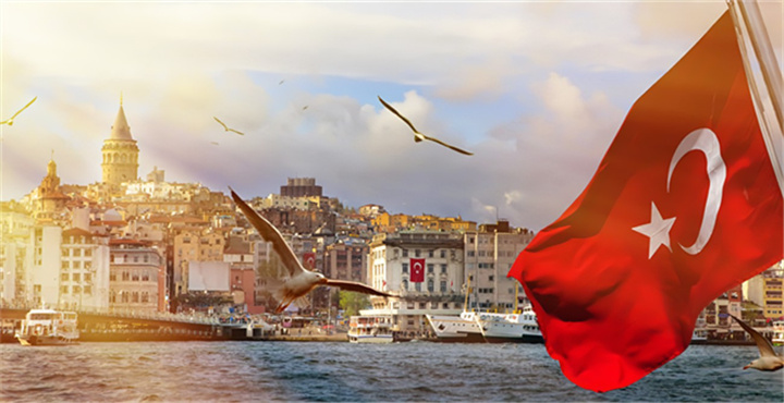 1650523853731456.jpg R-C (12).jpg