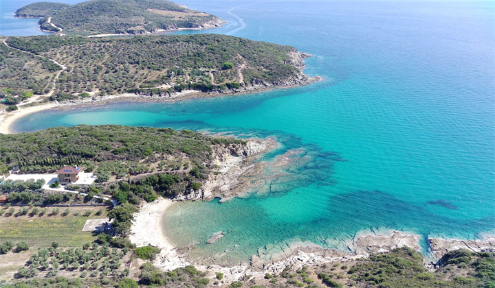 1697087768178676.jpg pexels-photo-18443866.jpg