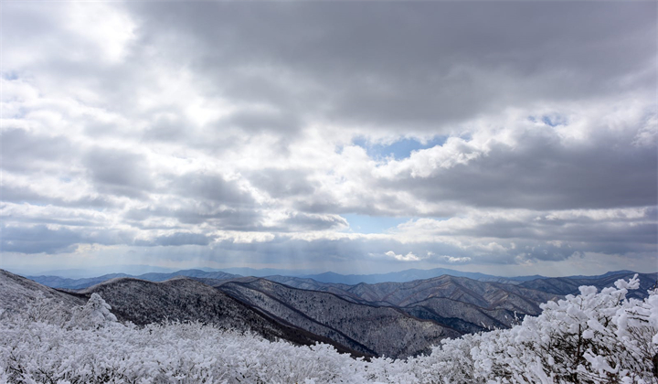 1698823739479192.jpg pexels-photo-18341476.jpg