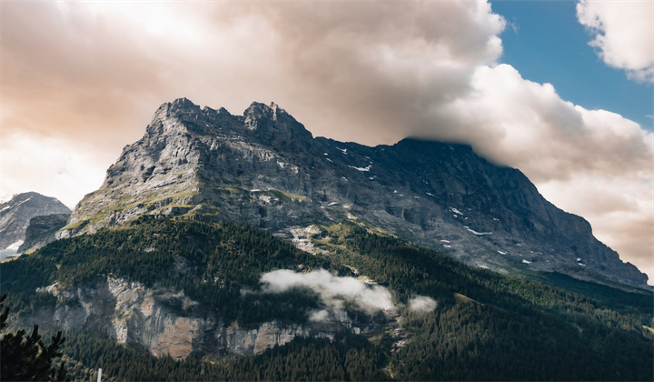 1699424855415671.jpg pexels-photo-18261893.jpg