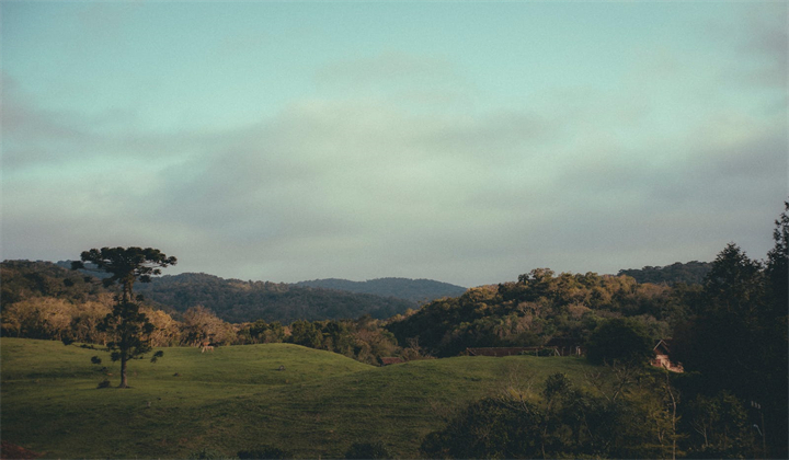 1699933378103385.jpg pexels-photo-18364305.jpg