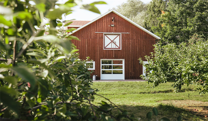 free-photo-of-ferme-genest-quebec-autocuillette-des-pommes.jpg